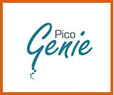 Pico genie