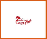 Shenzhen salange technology